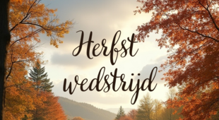 HERFSTWEDSTRIJD 2025