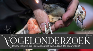 Vogelonderzoek