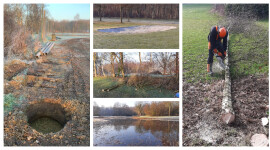 Natuurbeheer op De Breuninkhof